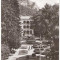 CP204-77 Baile Herculane -Vedere din parc -RPR -carte postala, circulata 1960 -starea care se vede