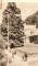 Foto  - 1