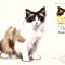 Carte maxima pisica Ragdoll