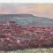 B23241 Brasov
