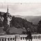 B25498 Sinaia Castelul Peles