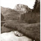 CP206-18 Lacul Rosu -Vedere spre Suhard -carte postala, circulata 1967 -starea care se vede
