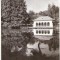 CP206-86 Craiova -Vedere din Parcul poporului -RPR -carte postala circulata 1960 -starea care se vede