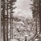 CP207-80 Sinaia -Vedere de pe Piscul Cainelui -RPR -carte postala necirculata -starea care se vede