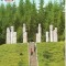 CP208-55 Monumentul martirilor de la Moisei, de Gheza Vida(stema) -carte postala necirculata -starea care se vede