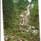 carte postala-BORSA-Cascada ,,Izvorul cailor,,