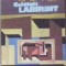 Celalant labirint Adolfo Bioy Casares