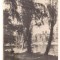 carte postala-CRAIOVA-Vedere din parc
