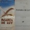 Ion Pillat, Pasarea de lut, 1934