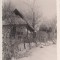 B33002 Muntele Solovan Maramures