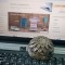Orgon, orgonit, dispozitiv orgonic pasiv, protectie impotriva campurilor electromagnetice