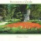 carte postala-Colectia-Bucurestiul verde *9*