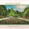 carte postala-Colectia-Bucurestiul verde *3*