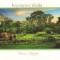 carte postala-Colectia-Bucurestiul verde *8*