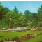 carte posta-BUZIAS-Vedere din parc