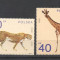 Polonia 1972 Pasari, animale salbatice, stamp. G.259