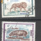 Congo 1972 Animale salbatice, stamp. G.300