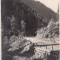 B28671 Romania Borberek Uti reszlet Vurpar