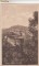 Foto  - 1