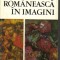 V Dragut , V Florea , D Grigorescu , M Mihalache - Pictura romaneasca in imagini