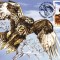 Maxima Sorecarul comun (Buteo buteo)