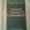 PLAGILE COLOANEI VERTEBRALE ~ CHIRURGIA