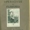 Operatiile dela Flamanda- General Al. Averescu