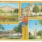 carte postala- SATU MARE- Colaj