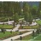 carte postala- BORSEC -Parcul central