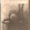 (C689) FABRICA DE ABSOLUT DE CAREL CAPEK