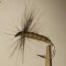 Muste artificiale pt. pescuit - MUSCA DE SALCIE - Willow Fly - Fuzfa legy