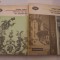 BAROCUL CA TIP DE EXISTENTA - 2 vol. - Edgar Papu - 1977
