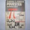 Florica T Campan POVESTEA NUMARULUI PI,g3,R34,RF12/3