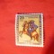 Serie-Ziua Marcii Postale 1956 Berlin ,1val.sarn.