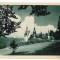 2349 - SINAIA - Castelul PELES - old postcard - unused