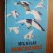 MIC ATLAS ORNITOLOGIC Pasarile Lumii - Dimitrie Radu - 1983, 311 p.+ 40 planse