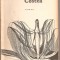 (C903) CAZUL EUGENITEI COSTEA DE MIHAIL SADOVEANU, EDITURA EMINESCU, BUCURESTI, 1970