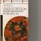 Aureliu Goci - Geneza si structura poeziei romanesti in secolul XX - 2001