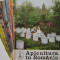 APICULTURA IN ROMANIA,colectie completa pe anul 1981 (stuparit,albinelor,stuparului,albinarit) 8 lei/revista