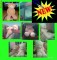 Foto  - 1