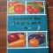Soiuri de legume - D. Andronicescu