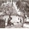 CP 209-81Bucuresti-Muzeul satului-Casa din satul Dumitra, raion Alba -RPR -circulata 1965-starea care se vede, timbrul a fost dezlipit