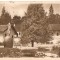 CP 210-02 Borsec -Vedere din parc -RPR -circulata 1956 -sepia -starea care se vede