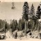 CP 210-21 Borsec -Spre izvoare -RPR -circulata 1954 -sepia -starea care se vede