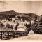 CP 210-05 Predeal-Cioplea -Vedere -RPR -circulata 1955 -sepia -starea care se vede