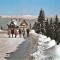 CP 211-32 Sinaia -Cabana Bradet (Cota 1300) -necirculata -starea care se vede