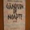 GANDURI DE NOAPTE - poezii - Mihaela Iolanda Igna (dedicatie - autograf) - 2000
