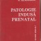 U(C948) PATOLOGIE INDUSA PRENATAL DE M. GEORMANEANU, EDITURA MEDICALA, BUCURESTI, 1978