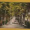 ALBA OCNA MURES APROX 1925