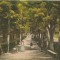 Ocnele-Muresului - Parcul bailor - 1926